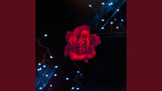 Bed of Roses Music Video