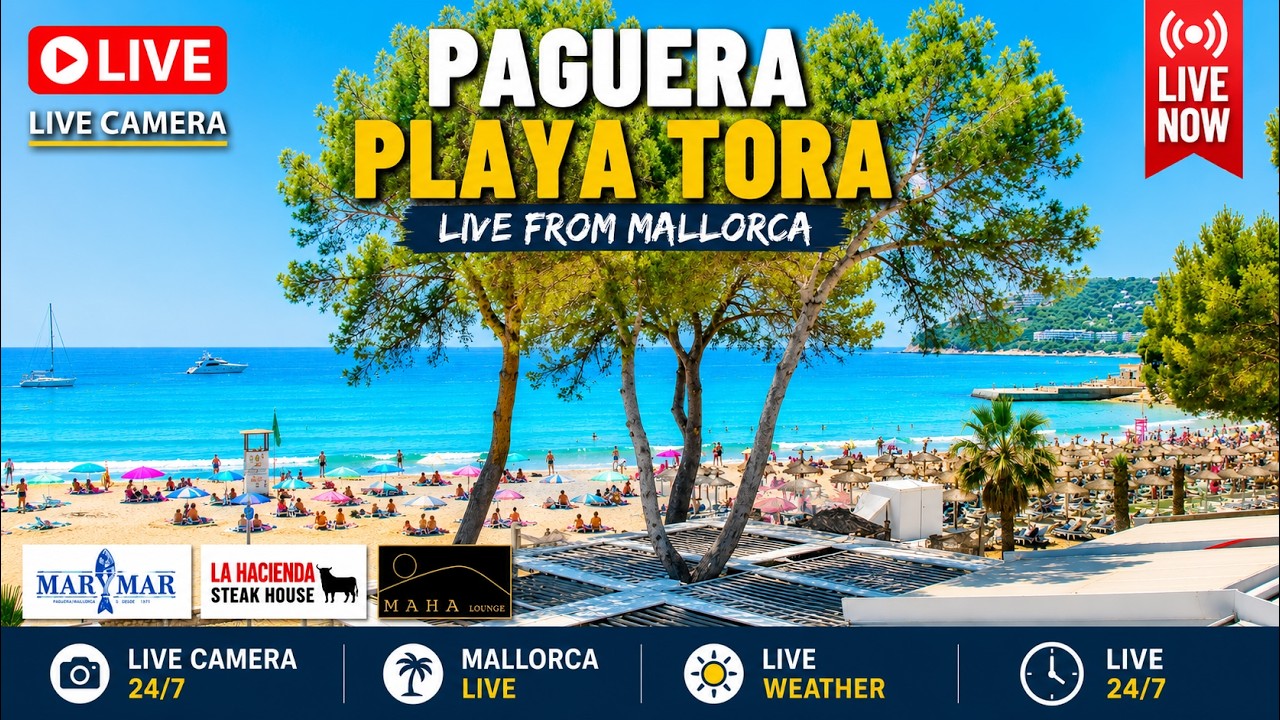 Live webcam view of Platja Gran de Torà Beach View