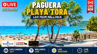 🌞 Mallorca Webcam Paguera Tora Beach |4K| 24/7 #MallorcaSurf #Livestream #Mallorca #balearics #surf