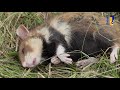 Natuur en Zo TV - Natuurakkers (3)
