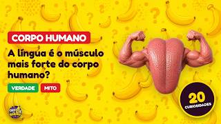 Capa de Corpo Humano #02