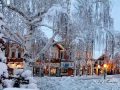 Mflex Magical Winter