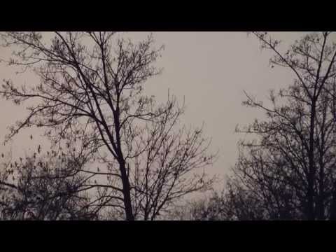 Purgamentum - OHÜ Filmpályázat 2014