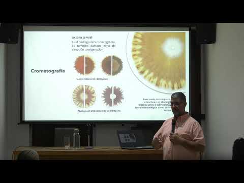 Imagen Luis Dias: Merenrock y Tecnoamargue - En Vivo Desde El Centro (2005)