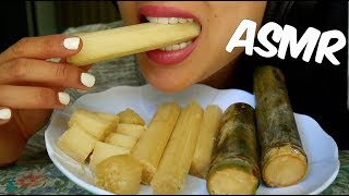 ASMR Sugarcane (Crunchy and Juicy EATING SOUNDS) | SAS-ASMR