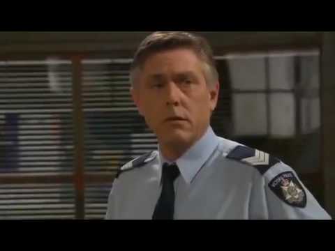 Blue Heelers  - 11x32 Turf War