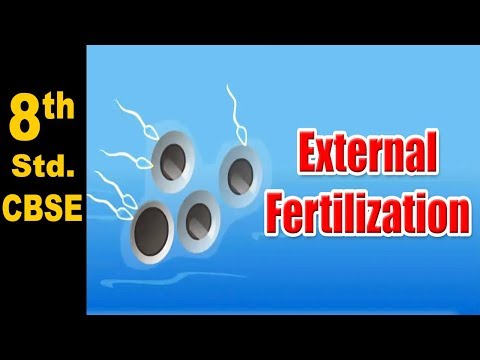 Class 8| External Fertilization | NCERT | Science | CBSE Board | Home Revise