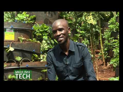 , title : 'An Irrigation innovation meant to cut cost - Mkulima Tech'