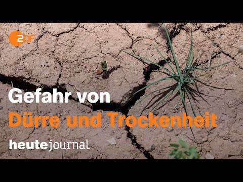 heute journal v. 10.07.22 Ukraine, Verbrenner, Taiwan, RAF, Stammheim, Nord Stream 1  (українською)