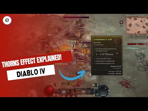 Diablo 4: Thorn Effect Explained [ How To USE ]