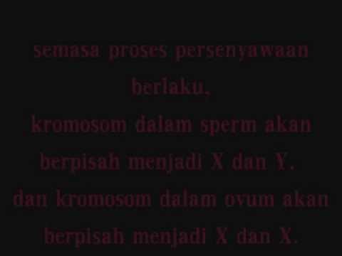 Bukti Kebenaran Al-Quran