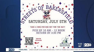 Take a shelter dog out for the day with Streets of Bakersfield program