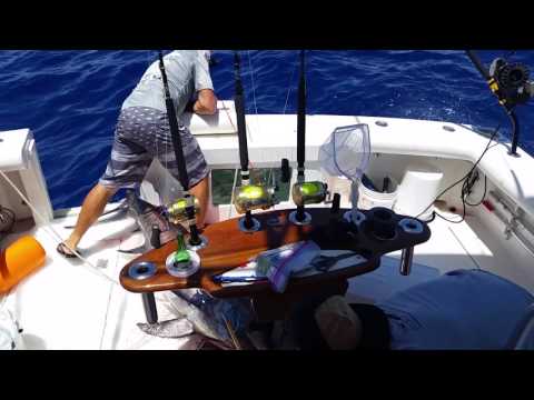 The catching of a 200 lb. swordfish