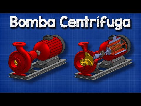 Principios Básicos de la Bomba Centrífuga