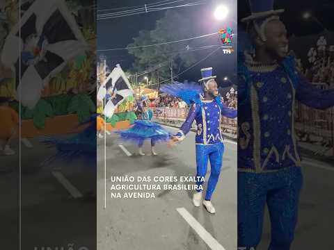 União das Cores exalta agricultura brasileira na avenida
