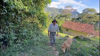 ELE  PARECE UM MENINO SUBINDO O MORRO - SÃO BENTO DO SAPUCAÍ SP
