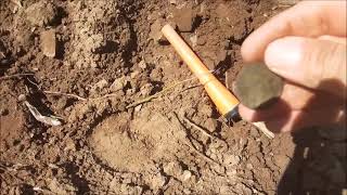 Metal Detecting New Hampshire for Colonial Coppers Buttons and Buckles