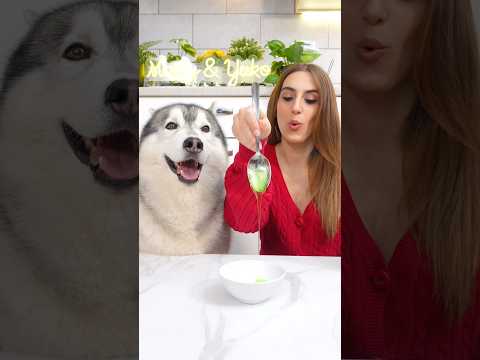 Come FARE gli ADESIVI di NATALE TUTORIAL 🎅🏼🎄🐶 #tutorial #natale #dog #cane