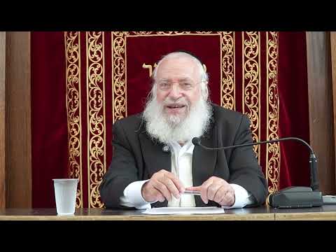 Does Teshuva Exempt from Beis Din's Punishments | Weekly Shiur by Rav Asher Weiss | (Ki Seitzei 5786
