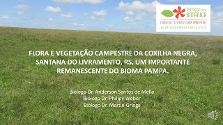AULA CURSO COXILHA NEGRA YOUTUBE