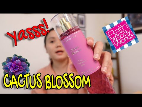 Cactus Blossom | Bath And Body Works