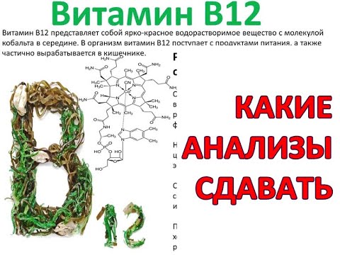 Сдать анализ на витамин б12. Фактор кастла как сдать анализ. Витамин д результат анализа. Сдать анализ на витамин б12. Б12 анализ.