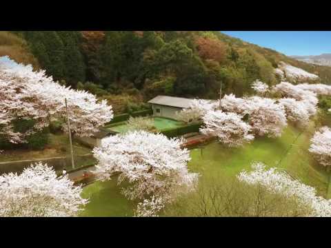 看護学科 姫路獨協大学 キャンパス全景