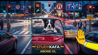 Trafik Rehberi / Traffic Guide