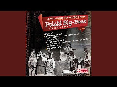 Bilet w Jedna Stronę