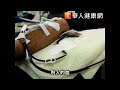 彭佳慧產後血崩險喪命　願吃胖捐血