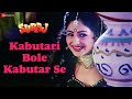 Kabutari Bole Kabutar Se Suraj Mithun Chakraborty Ayesha Jhulka Udit Narayan