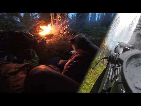 Overnight capercaillie hunting trip in the EU's largest primeval forest