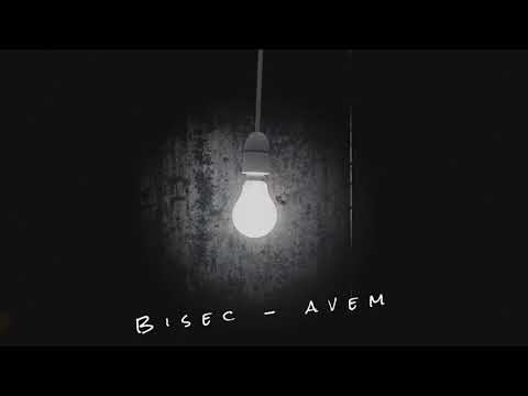 Bisec - Avem