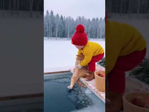 Spovedesc pisica! #ffs #fefese #baby #funny #shorts #viral