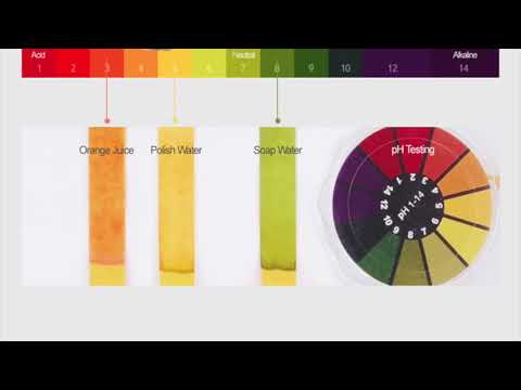 download lagu mp3 mp4 Canola Honey Benefits, download lagu Canola Honey Benefits gratis, unduh video klip Canola Honey Benefits