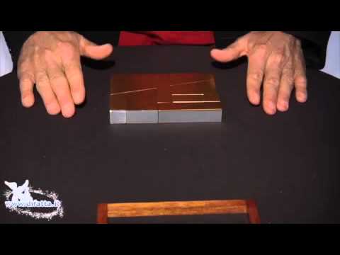 Voir la vidéo de Perpetual Puzzle - Tenyo