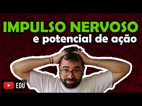 Action Potential and Nerve Impulse - Class 17 - Module VII: Human Histology and Physiology | Prof...