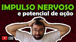 Potencial de Ação e Impulso Nervoso - Aula 17 - Módulo VII: Histologia e Fisio Humana | Prof. Gui
