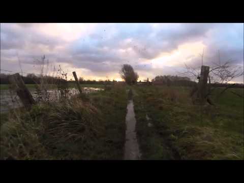 VTT Wetteren 11 01 2015