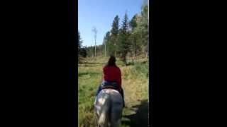 preview picture of video 'Riding My Horse Near Deerfield Lake in the Black Hills'