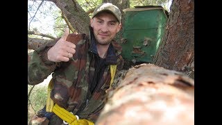 Приманки для бродячих роевик