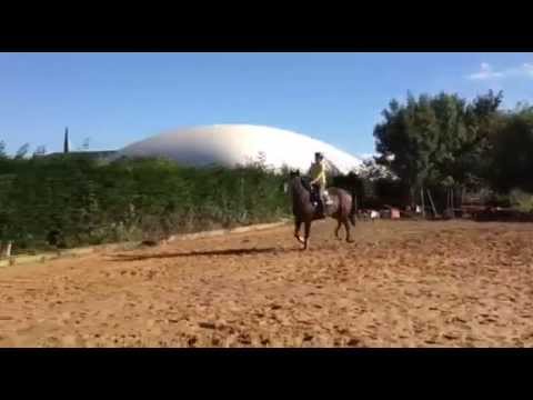 Septembre 2015 : Uzario - AQPS - 7 ans