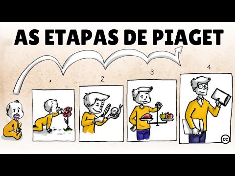 Teoria do Desenvolvimento Cognitivo de Piaget