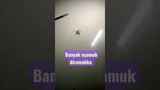 Download lagu Banyak nyamuk dirumahku mp3