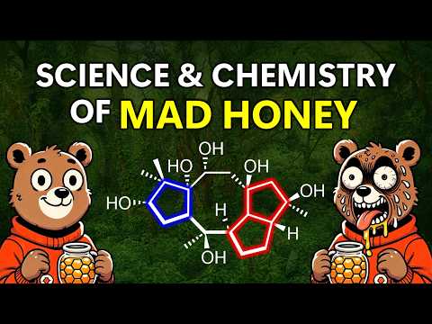 MAD HONEY Toxin Synthesis (Educational): Science & Chemistry of Grayanotoxin & Kalmanol