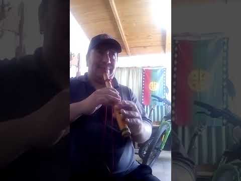 Carlos Cheuque - "Niña Camba" (Takirari)