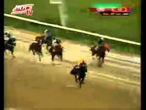 VALENCIA 10 CARRERA VIERNES 07 DE NOVIEMBRE DEL 2014