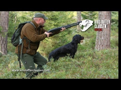 Hunting capercaillie and blackgrouse by Kristoffer Clausen