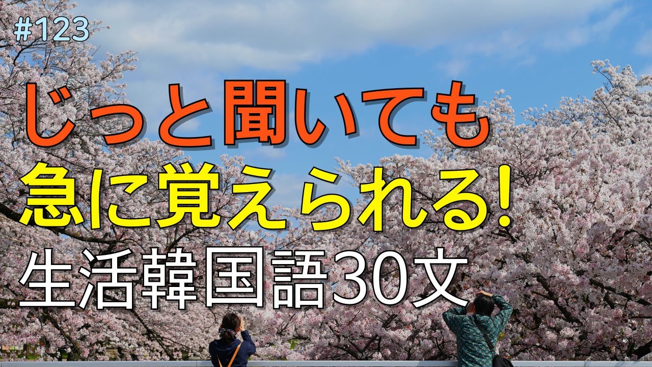 [ワクワク韓国語]  毎日聞いていると韓国語がすらすらと出てきます! 生活韓国語 30文 | 韓国語会話, 韓国語ピートリスニング, 韓国語聞き取り