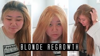 HOW TO • Bleach and Dye Ash Blonde Regrowth At Home | Beini Wu